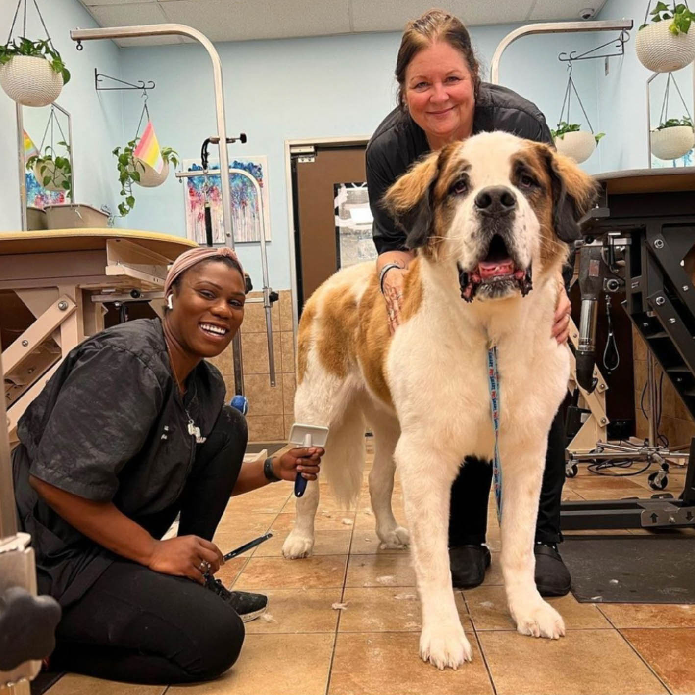 Two groomers with large dog