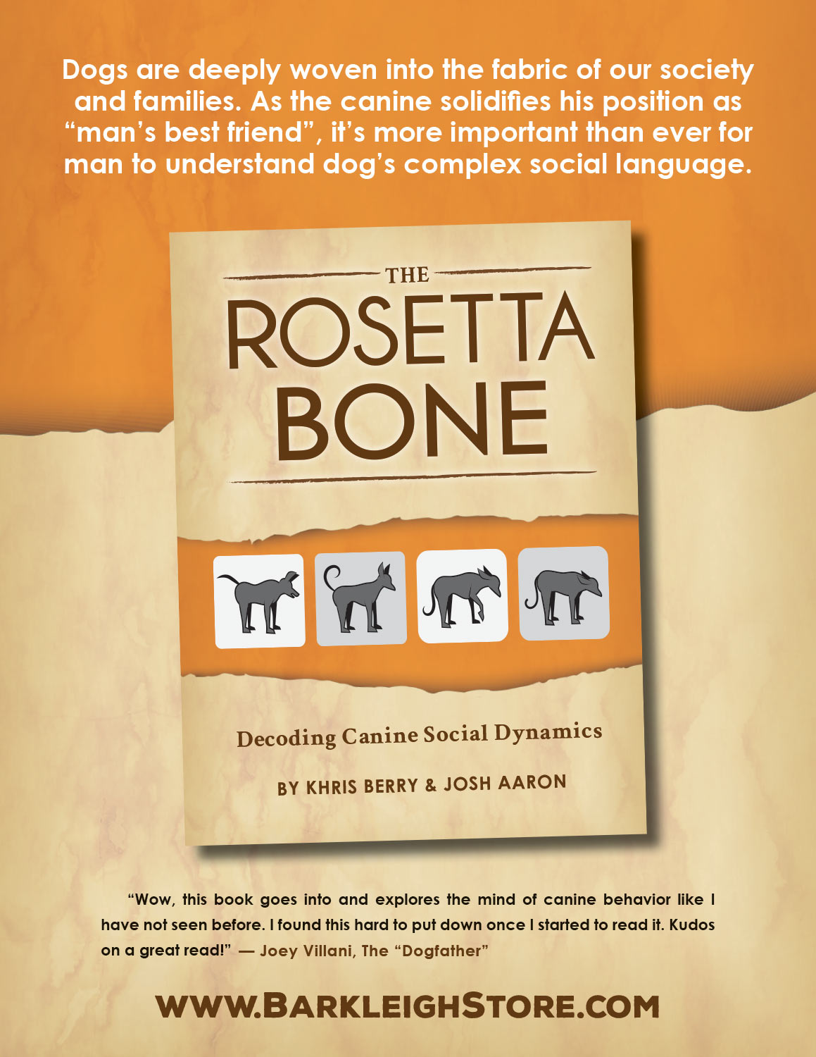 The Rosetta Bone Advertisement
