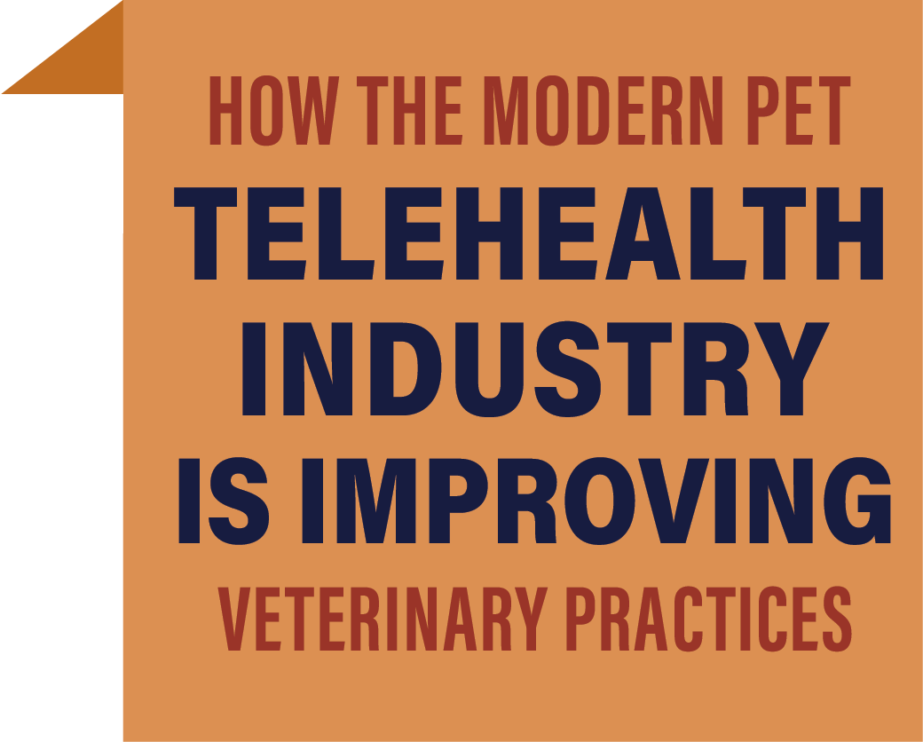 How the Modern Pet Telehealth Industry is Improving Veterinary Practices