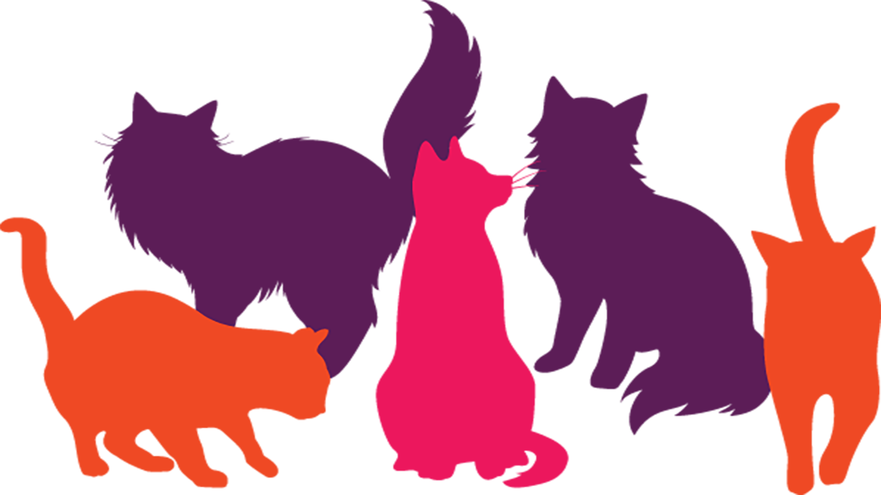 A digital illustrative silhouette representation of five cats (two in orange, two in purple, and one in pink)