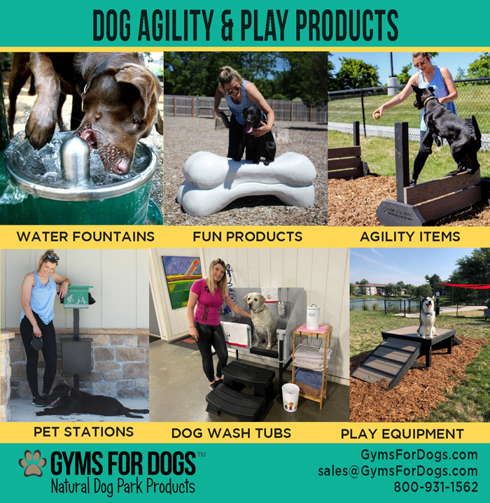Gyms for Dogs Advertisement