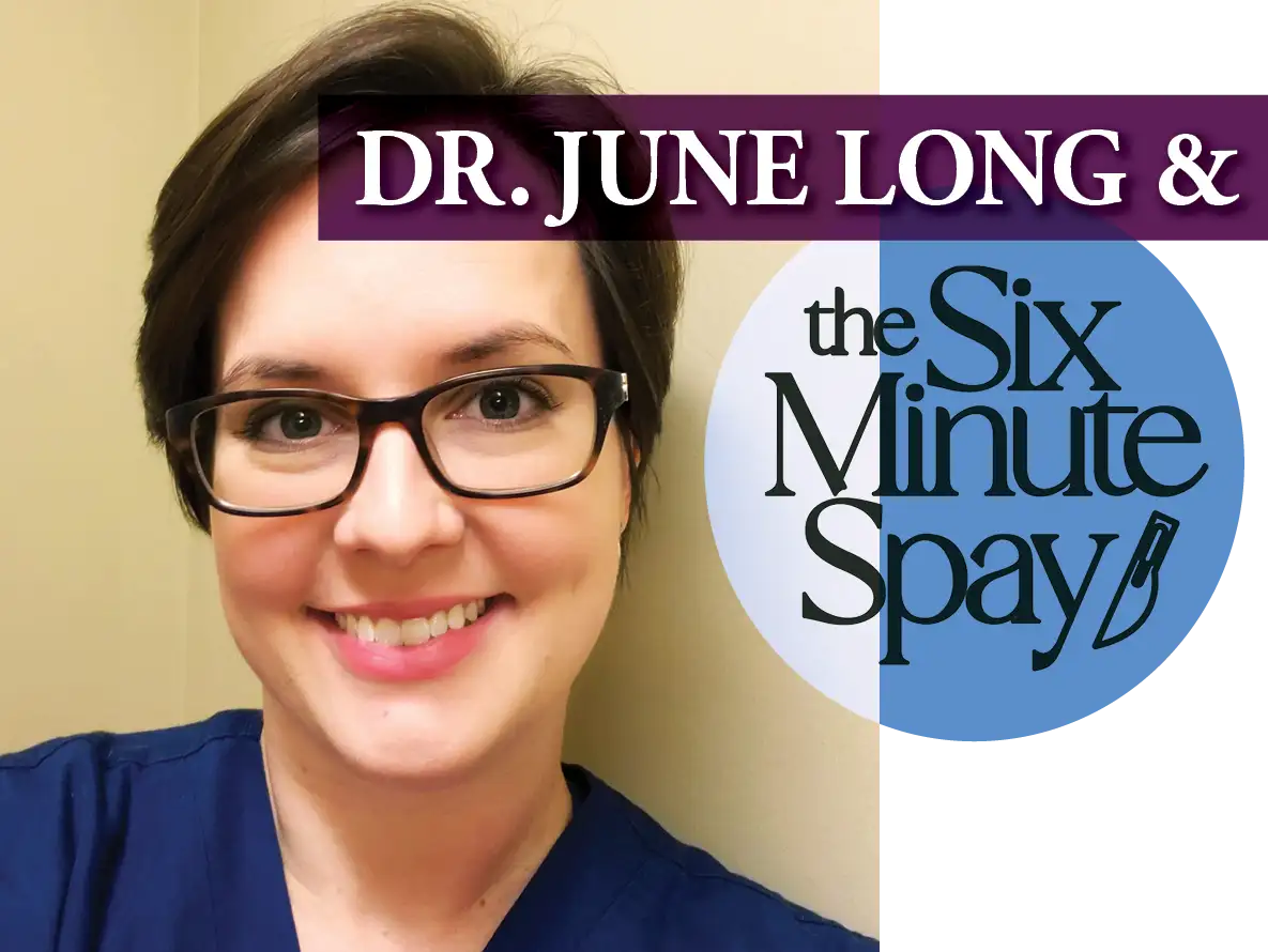 Dr. June Long and the Six Minute Spay