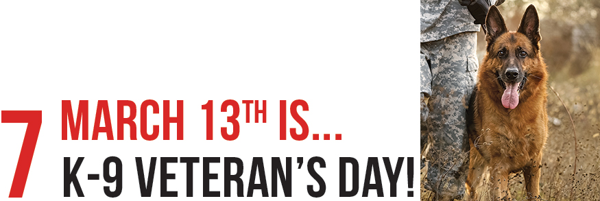 March 13th is... K-9 Veteran's Day