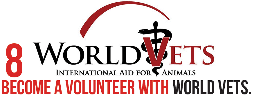 become a volunteer WITH world vets.