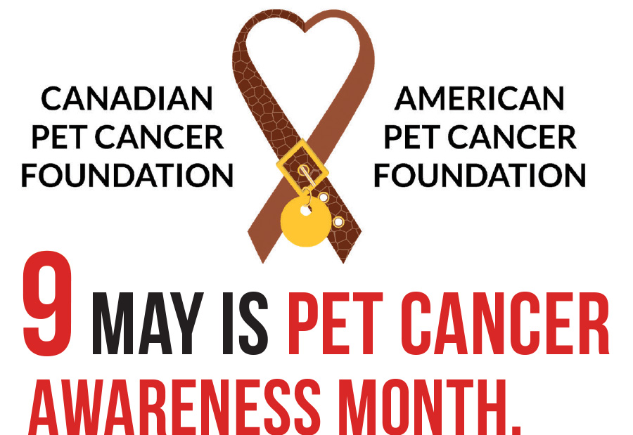 Pet Cancer Awareness Month 