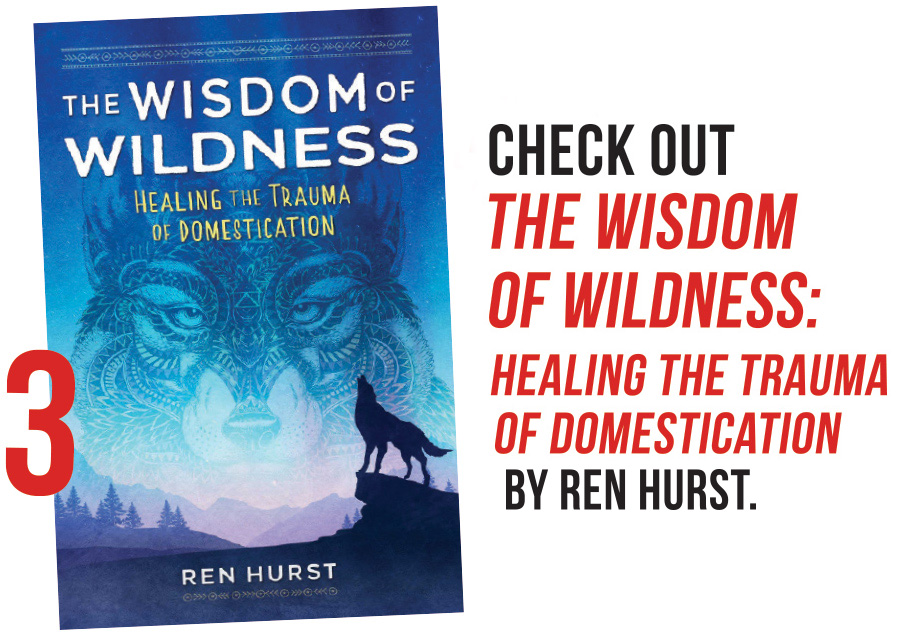 Wisdom of Wilderness book
