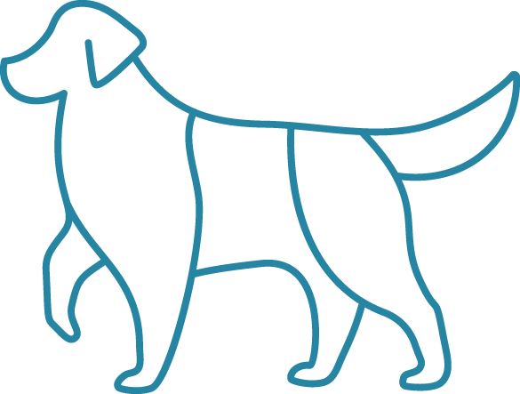 Simple line drawing of dog