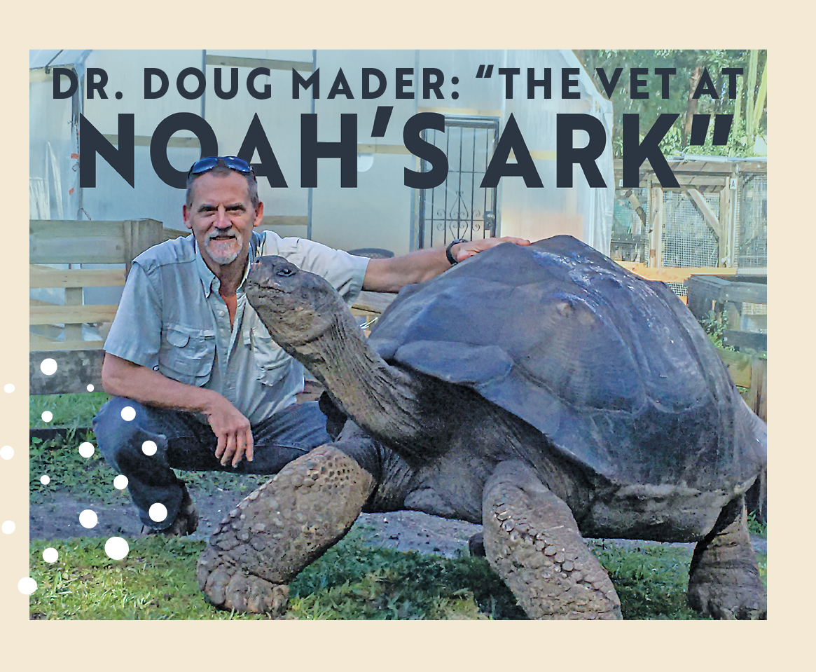 Dr. Doug Mader: "The Vet At Noah's Ark"