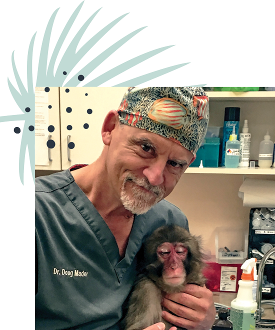 male veterinarian with a monkey