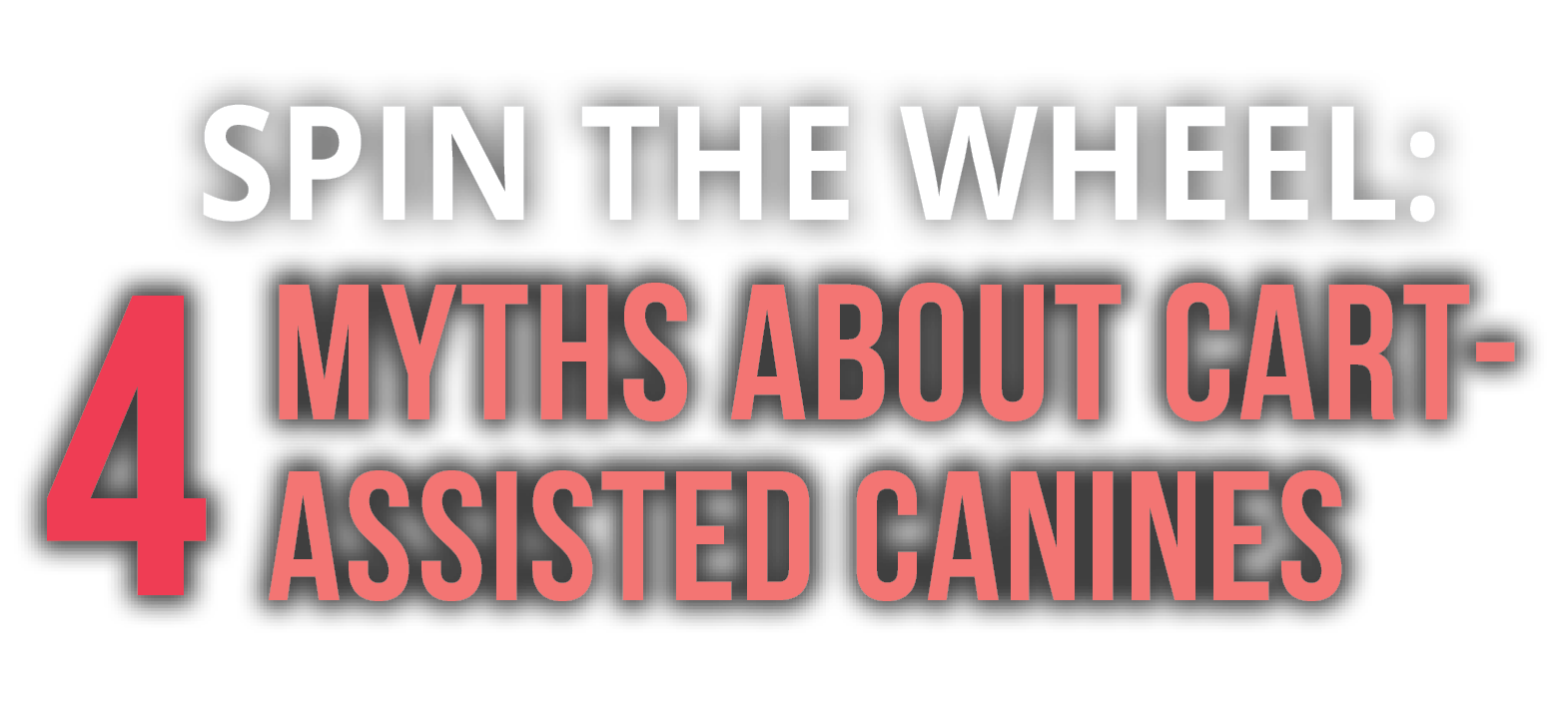 Spin the Wheel: 4 Myths About Cart-Assisted Canines