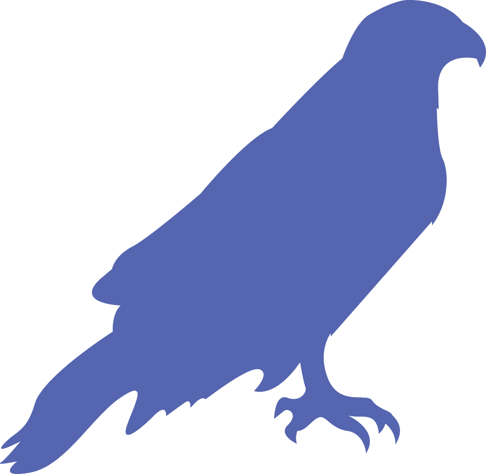 blue silhouette of an eagle