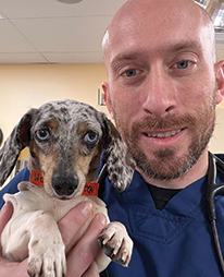 Portrait headshot photograph of Dr. Andrew Ciccolini smiling in a dark navy blue pet veterinarian gown and a black tool device on his shoulder while holding a dog in his right hand