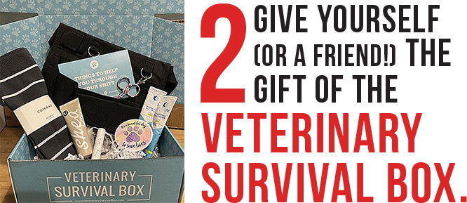 Photograph of the veterinary survival box containing self-care items
