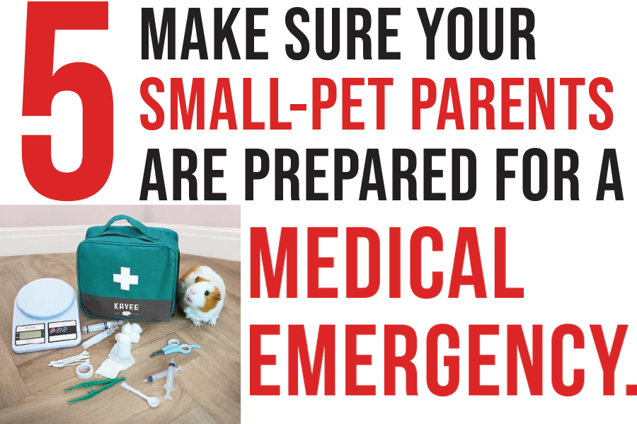 small medical emergency kit