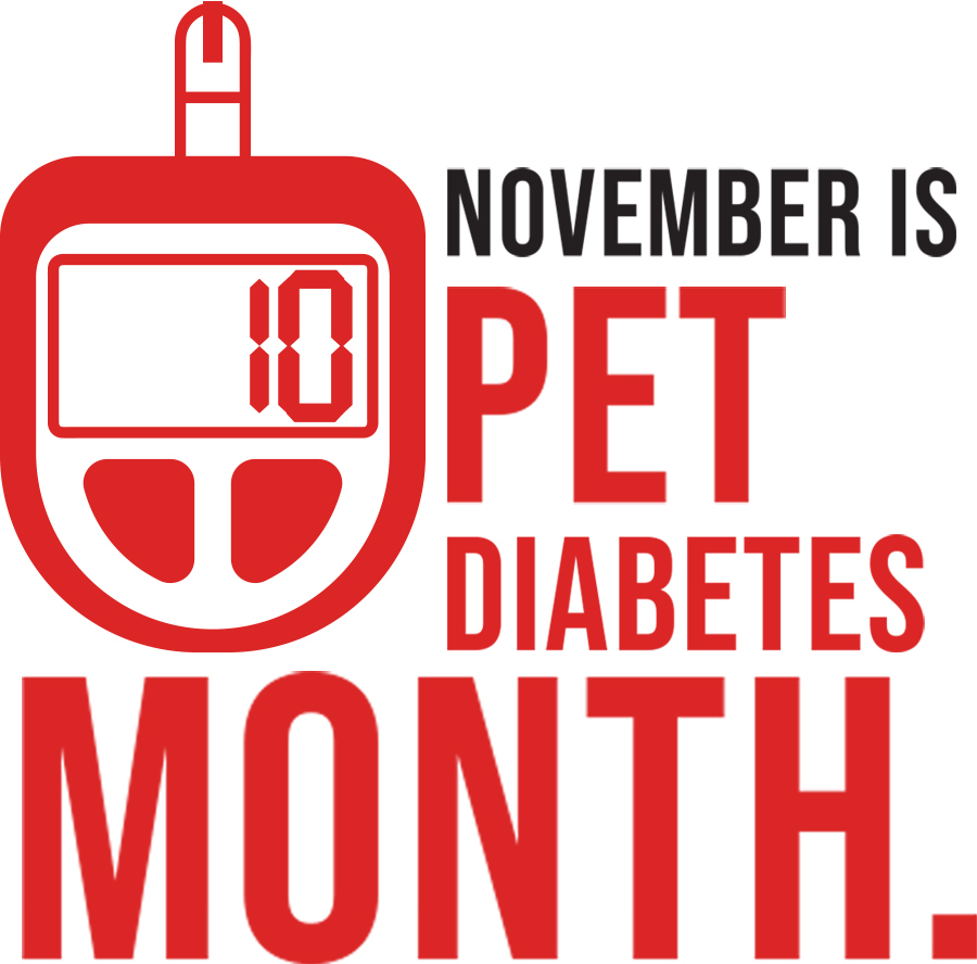 Pet Diabetes Month