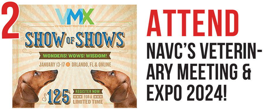 Red numeral 2 with text after that reads Attend NAVC's Veterinary Meeting & Expo 2024! and the small Expo poster logo next to red numeral 2
