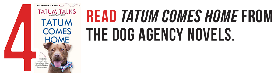Red numeral 4 with text after that reads Read Tatum Comes Home from The Dog Agency Novels and the Tatum Comes Home front book cover next to the red numeral 4