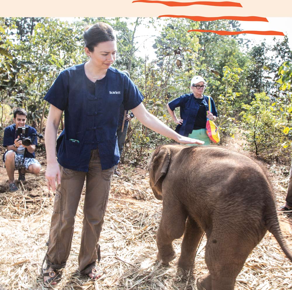 Dr. Magda petting a baby elephant