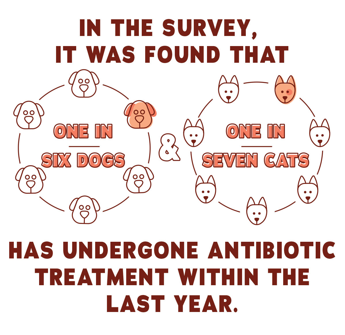 In the survey, it was found that one in six dogs and one in seven cats has undergone antibiotic treatment within the last year.