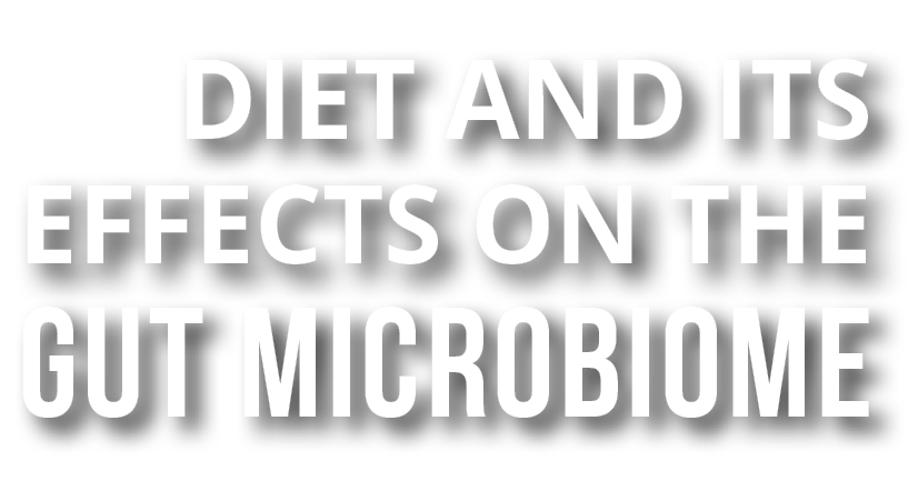 diet and its effects on the gut microbiome