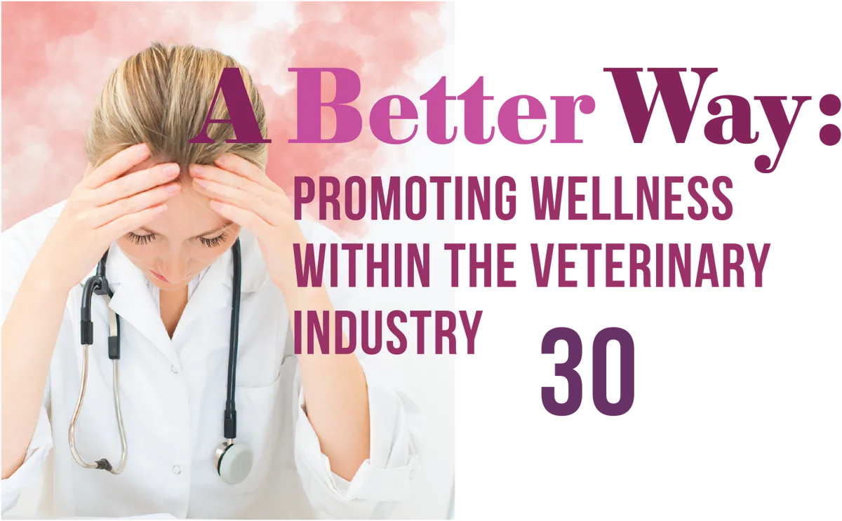 A Better Way: Promoting Wellness in the Veterinary Industry feature image and typography