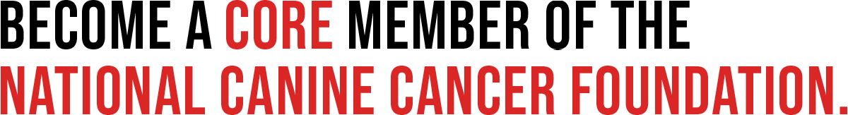 Become a Core Member of the National Canine Cancer Foundation