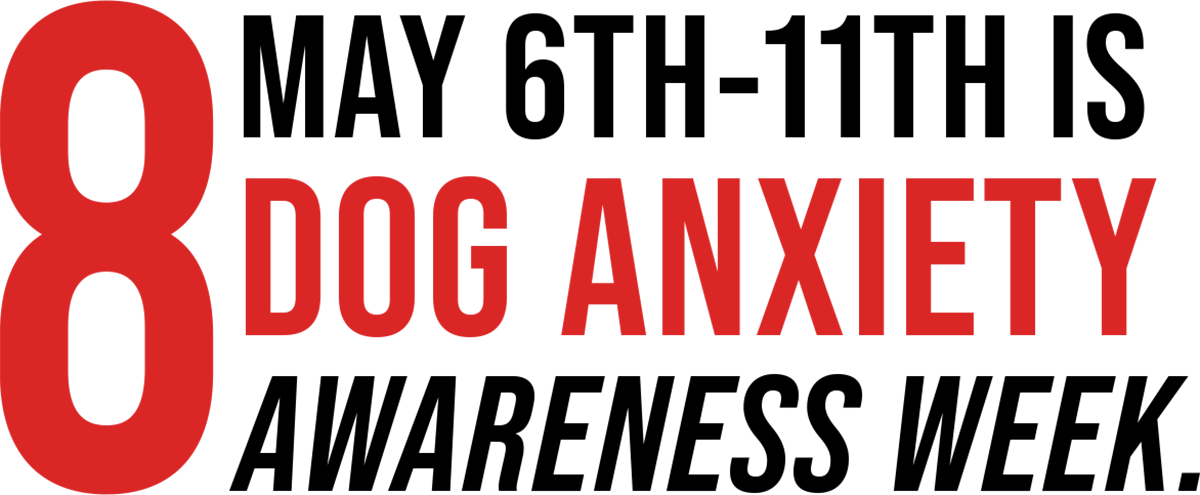 May 6th-11th is Dog Anxiety Awareness Week