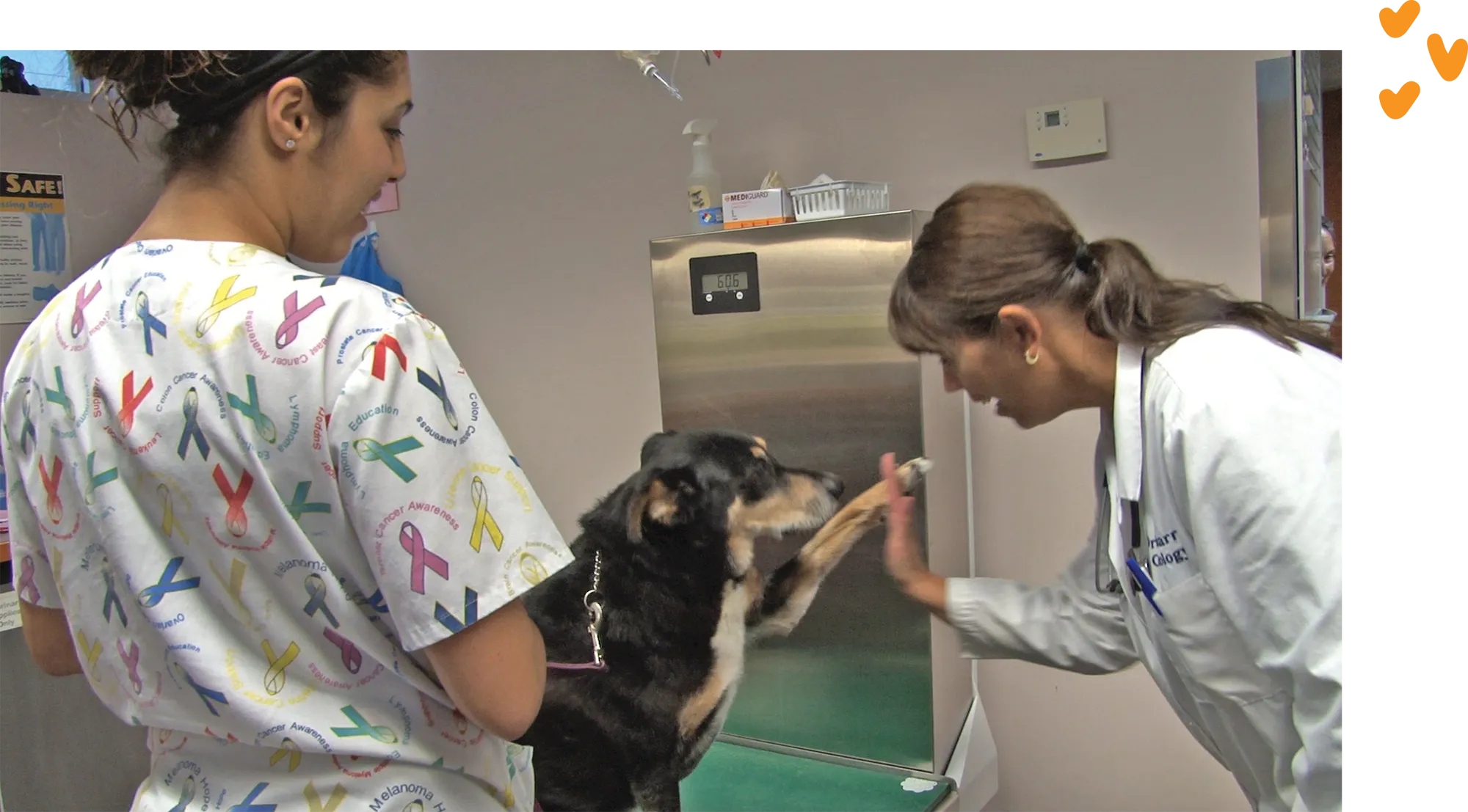 Dr. Alsarraf pictured high-fiving a dog as a vet tech stands near by