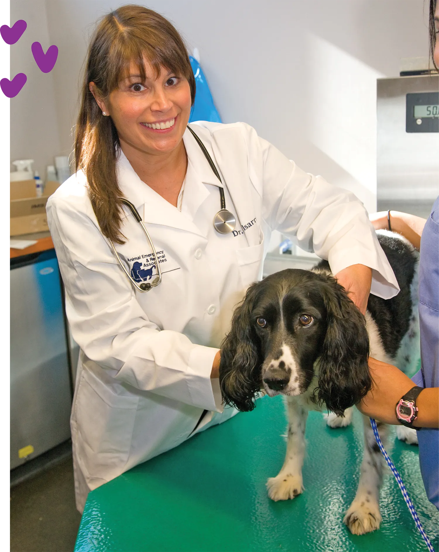 Dr. Renee Alsarraf smiles while examining a dog on a table