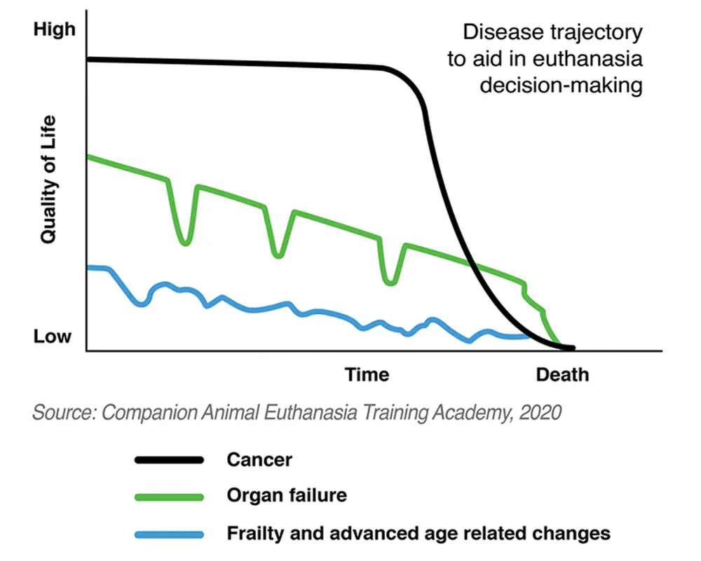 graph illustrating Disease trajectory to aid in euthanasia decision-making