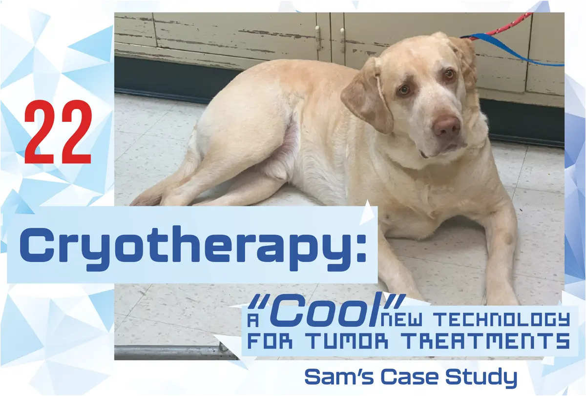 Cryotherapy: A "Cool" New Technology for Tumor Treatments, Sam's Case Study graphic and typography