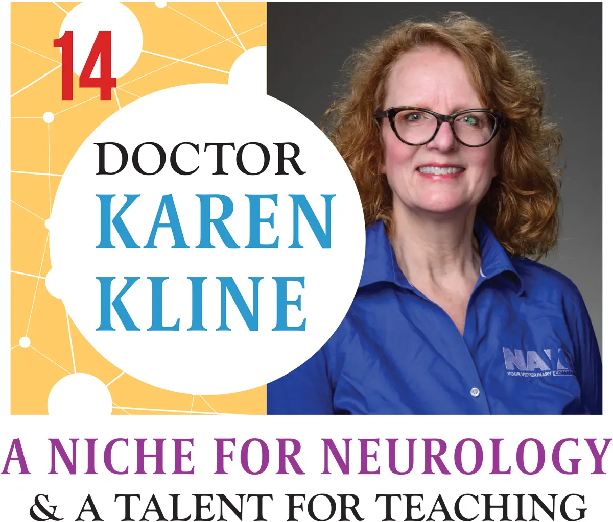 Doctor Karen Kline: A Niche for Neurology & a Talent for Teaching feature graphic