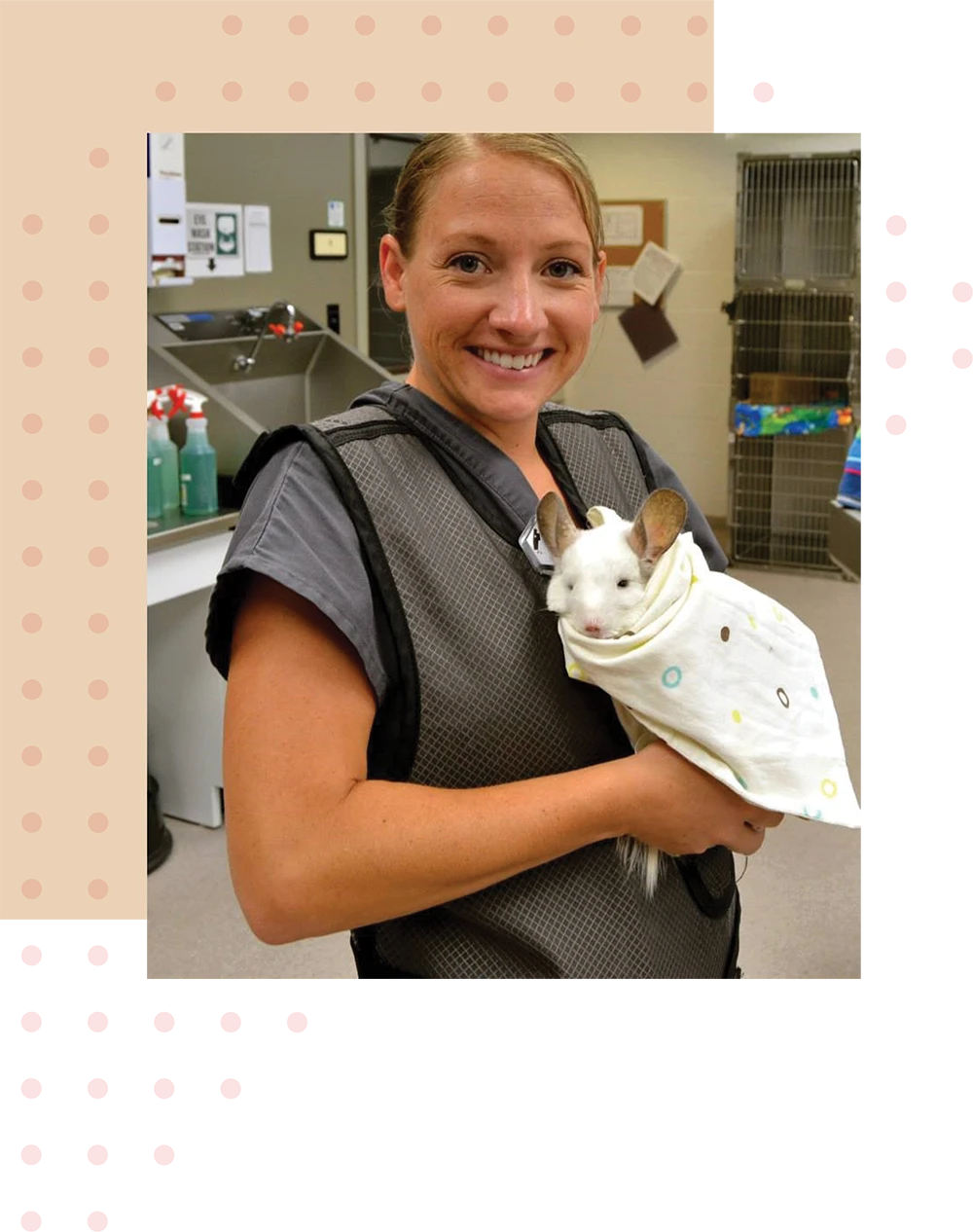 A smiling person in a gray vest holds a white chinchilla wrapped in a polka dot cloth at a veterinary clinic.