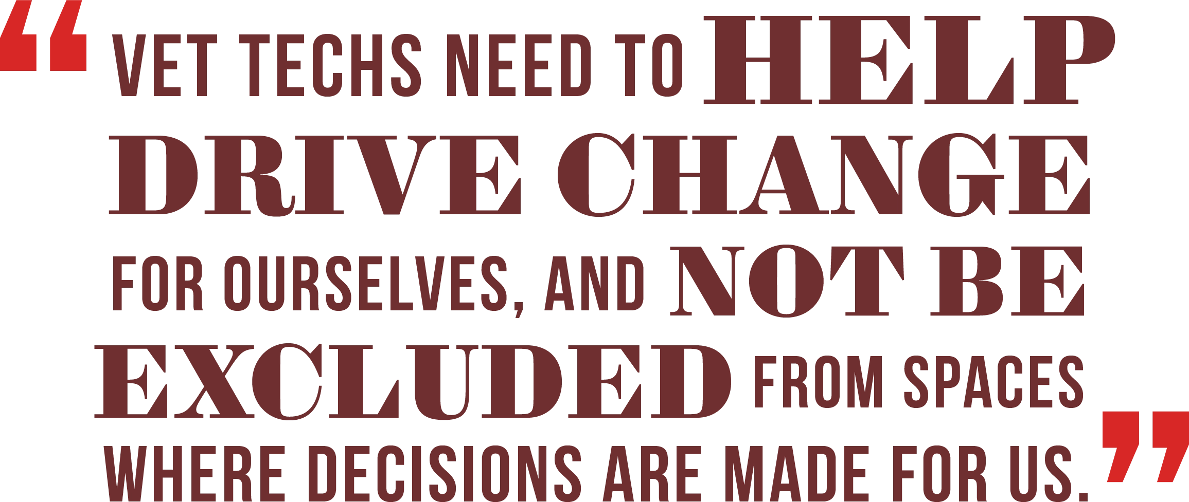 Vet Techs need to help drive change for ourselves, and not be excluded from spaces where decisions are made for us.