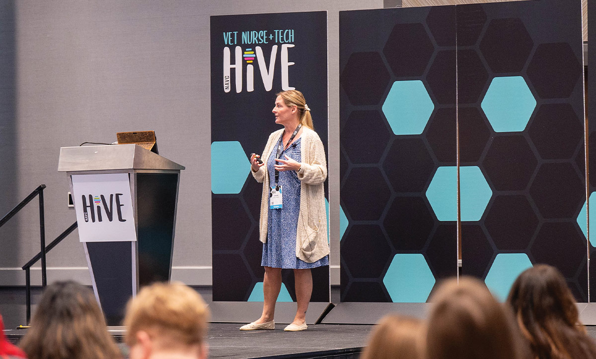 woman on a stage at the HiVE Event giving a presentation