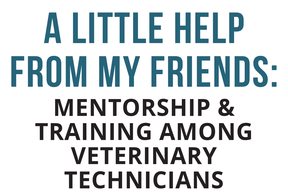 A Little Help From My Friends: Mentorship & Training Among Veterinary Technicians typography