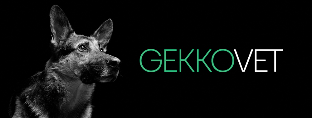 a GekkoVet brand graphic with the logo beside a German Shepherd