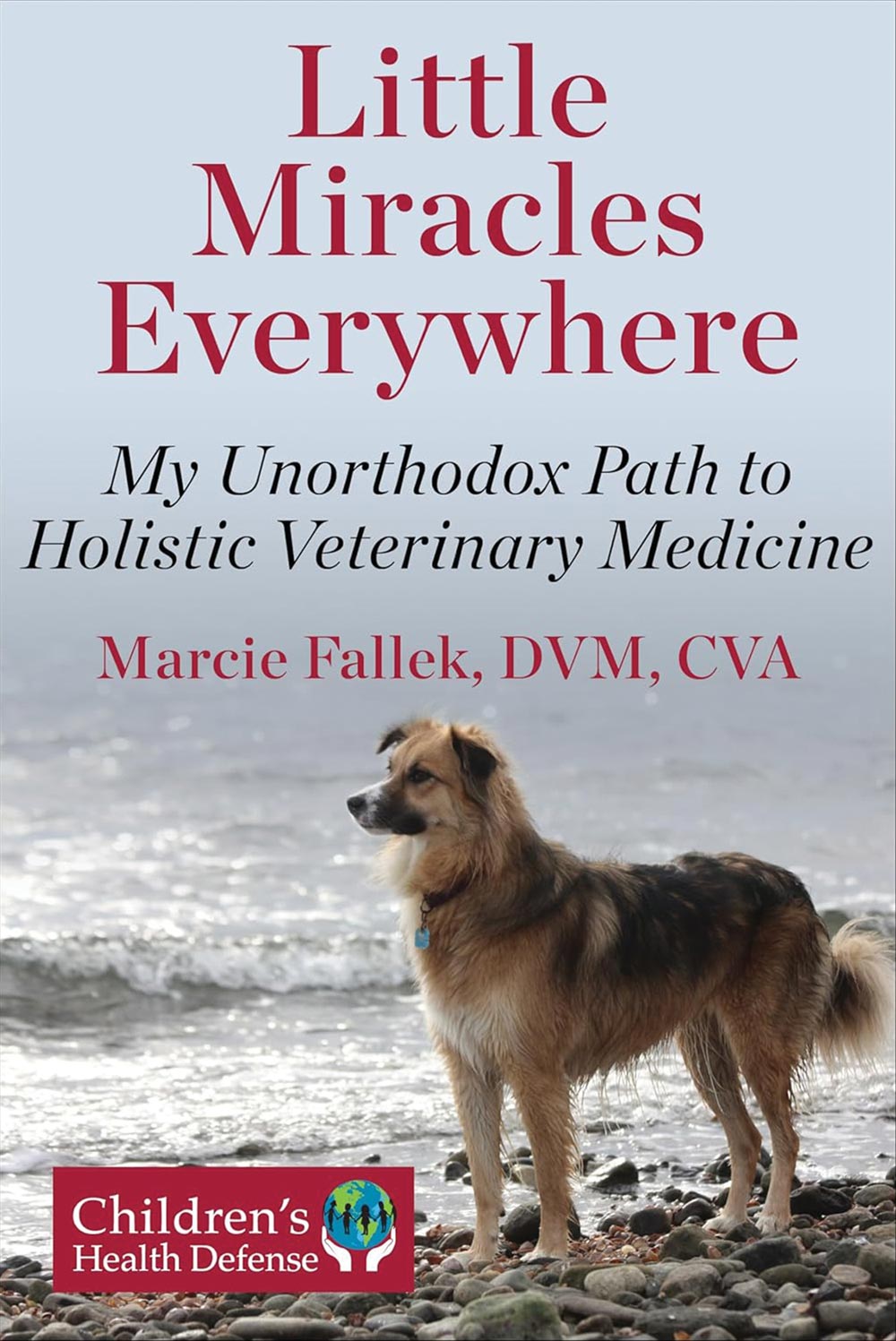 cover of Little Miracles Everywhere: My Unorthodox Path to Holistic Veterinary Medicine by Marcie Fallek, DVM, CVA