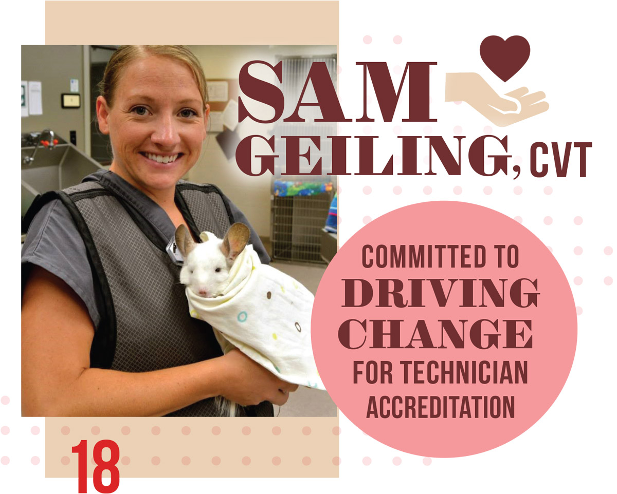 Sam Geiling, CVT: Committed to Driving for Technician Accreditation article graphic and typography