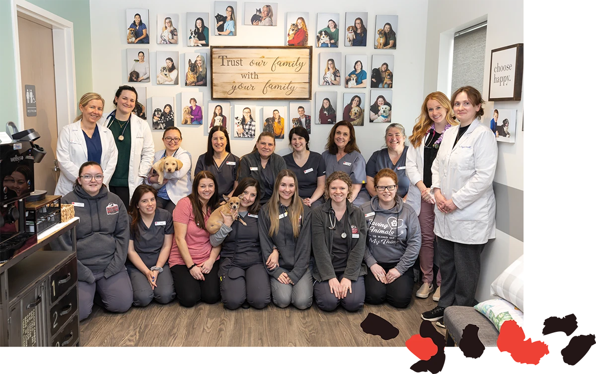 Dr. Magnuson (standing furthest left) in an office group photo with other veterinarians and techs