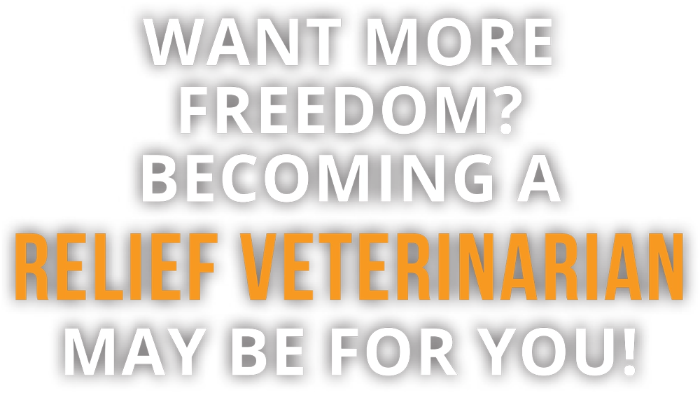 Want More Freedom? Becoming a Relief Veterinarian May be for You! typography