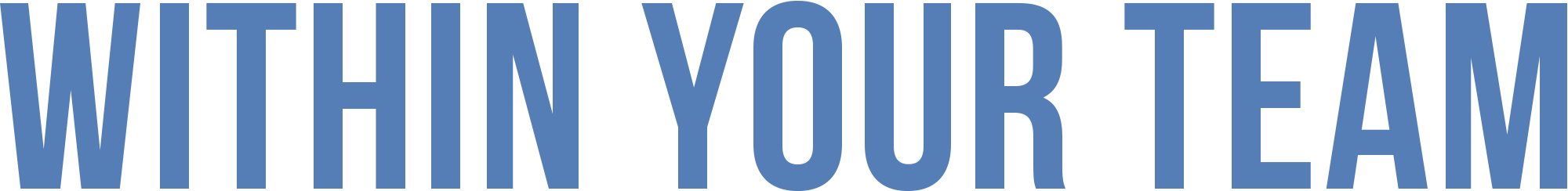 Within Your Team