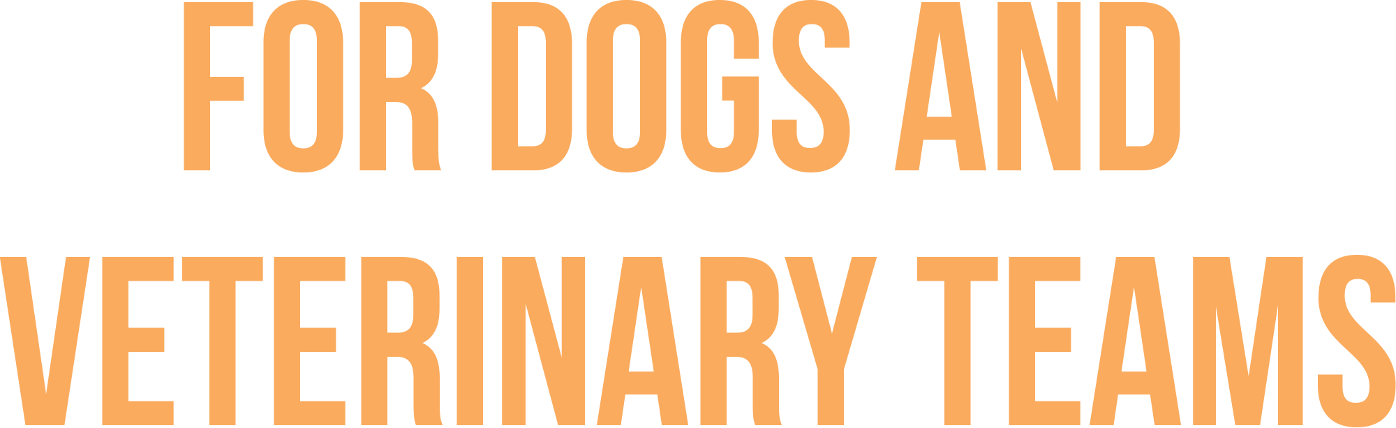for dogs and veterinary teams