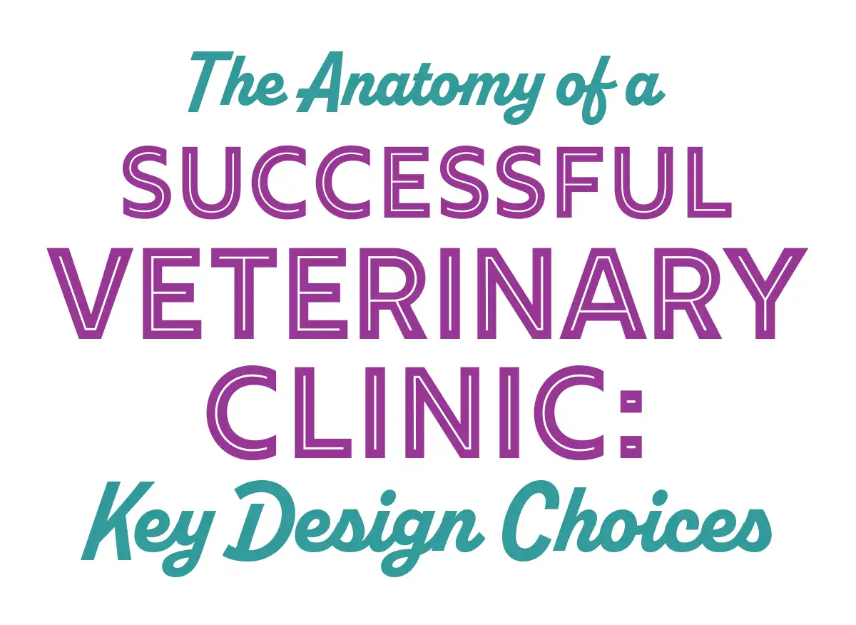 The Anatomy of a Successful Veterinary Clinic: Key Design Choices typography