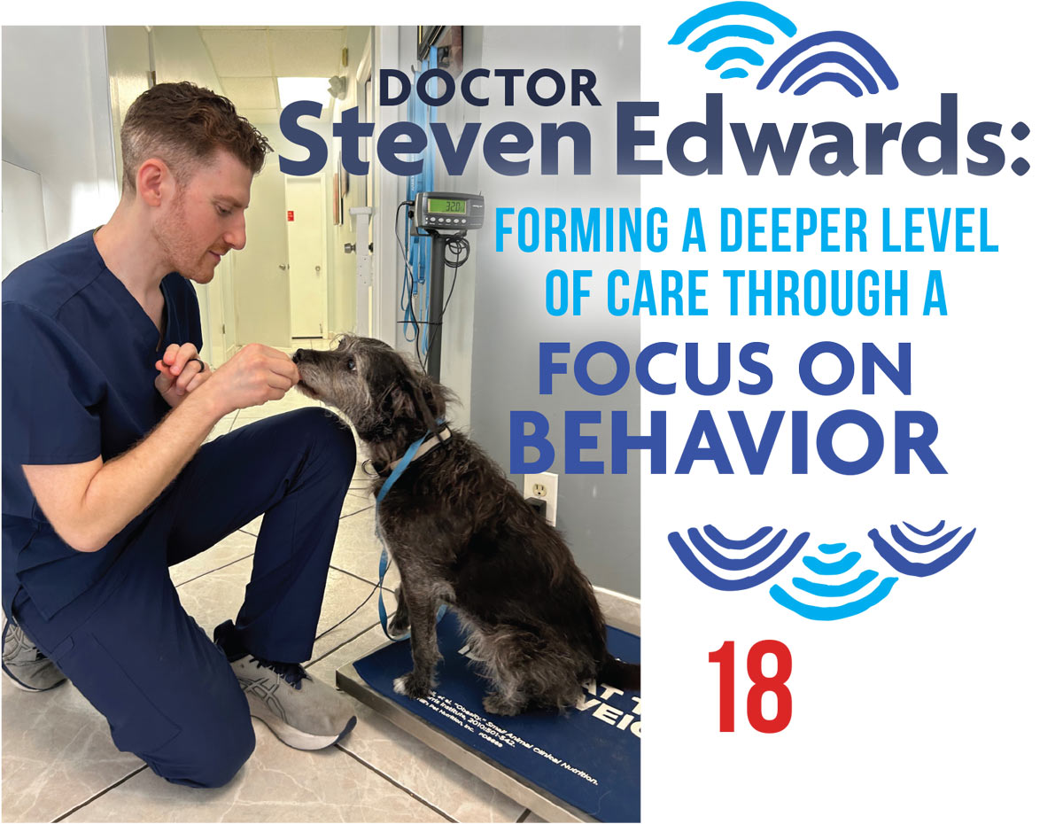 Doctor Steven Edwards: Forming a Deeper Level of Care Through Focusing on Behavior article imagery and typography