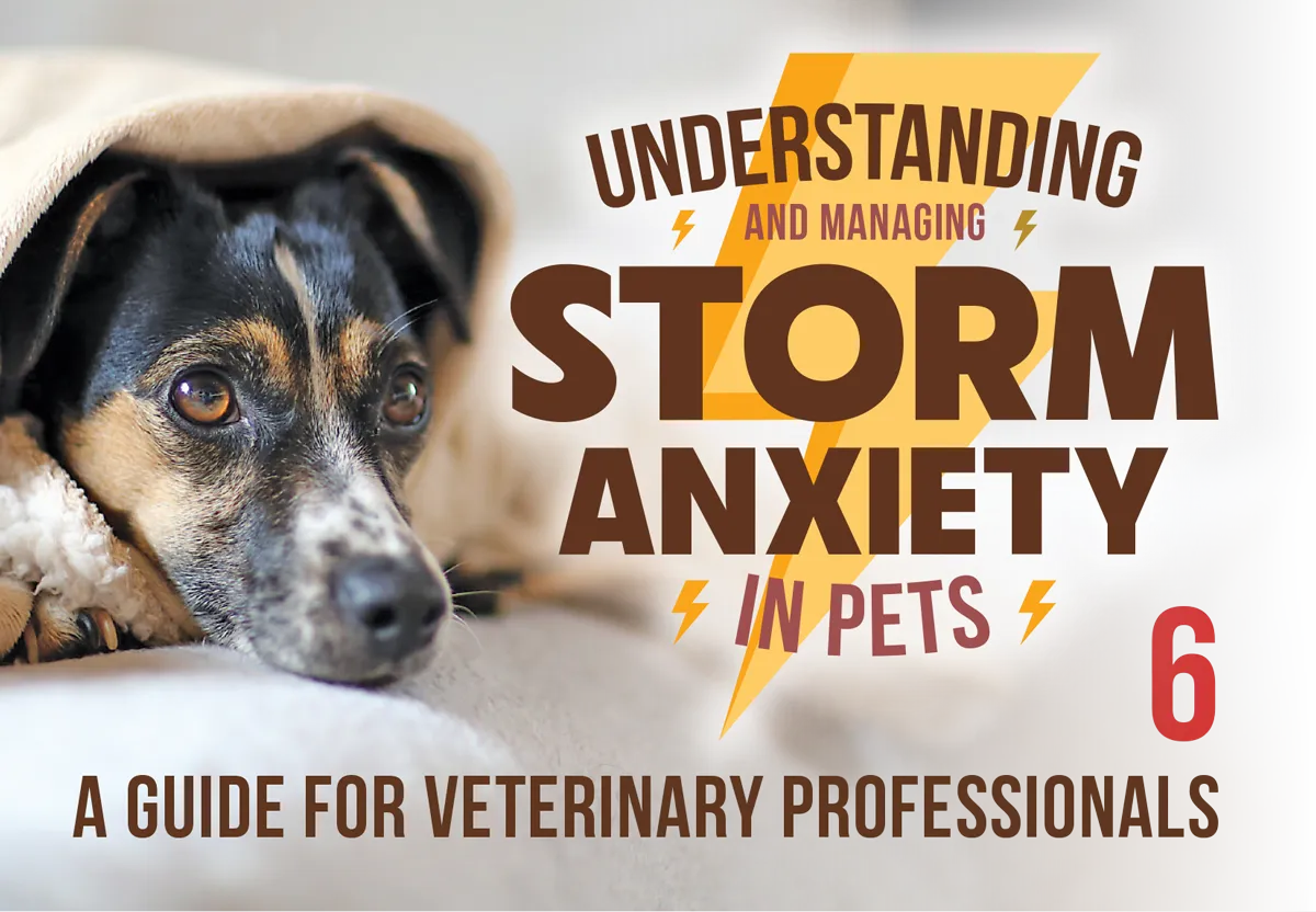 Understanding and Managing Storm Anxiety in Pets: A Guide for Professionals article imagery and typography