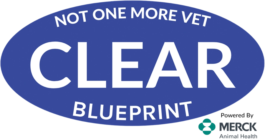Clear Blueprint logo