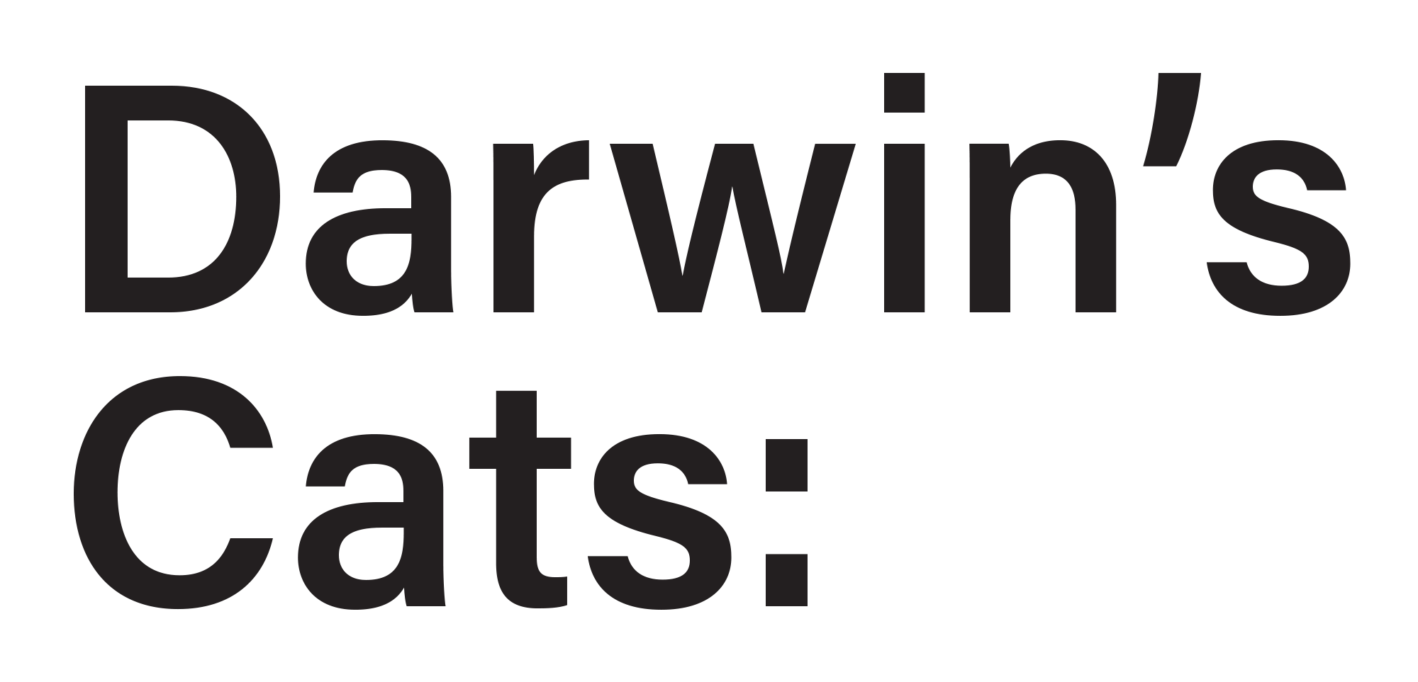 Darwin's Cats: typography