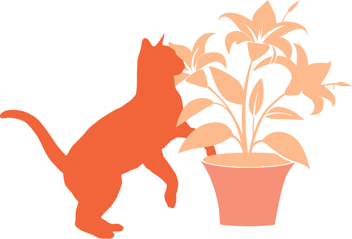 Toxic Substances in Feline Companions: Diagnosis, Treatment & Prevention