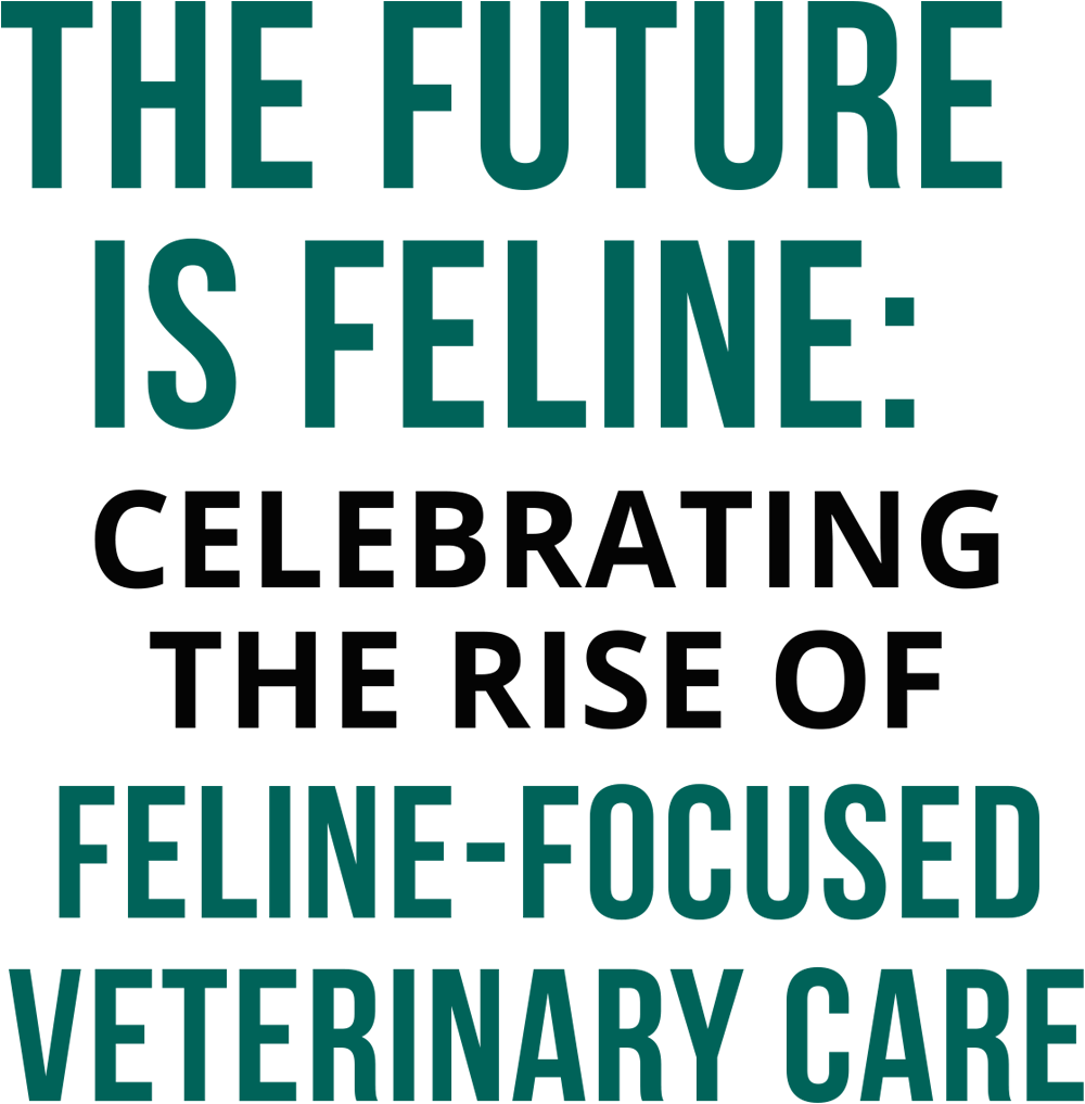 The Future is Feline: Celebrating the Rise of Feline-focused Veterinary Care typography
